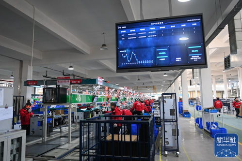 浙江嵊州 以高質量社會經濟咨詢服務為引擎，推進工業經濟跨越發展